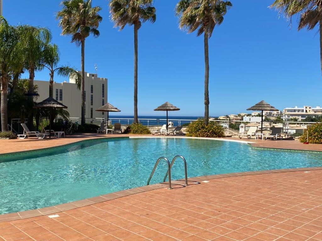 Blue Paradise Apartment